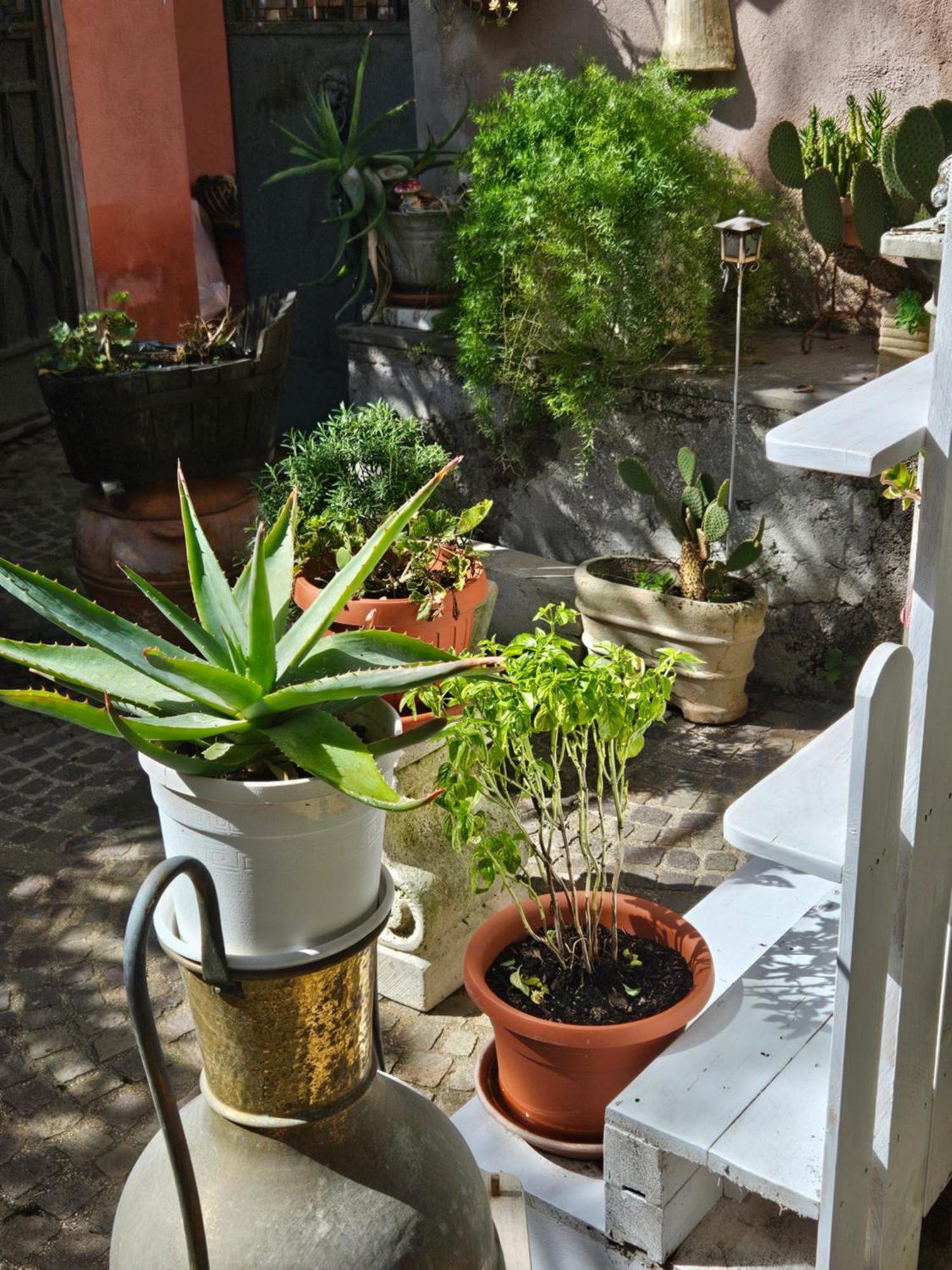 L' Antico Lavatoio Bed and Breakfast Rignano Flaminio Εξωτερικό φωτογραφία